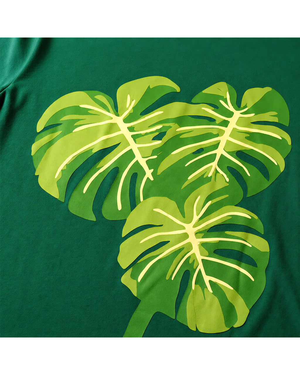 the green monstera