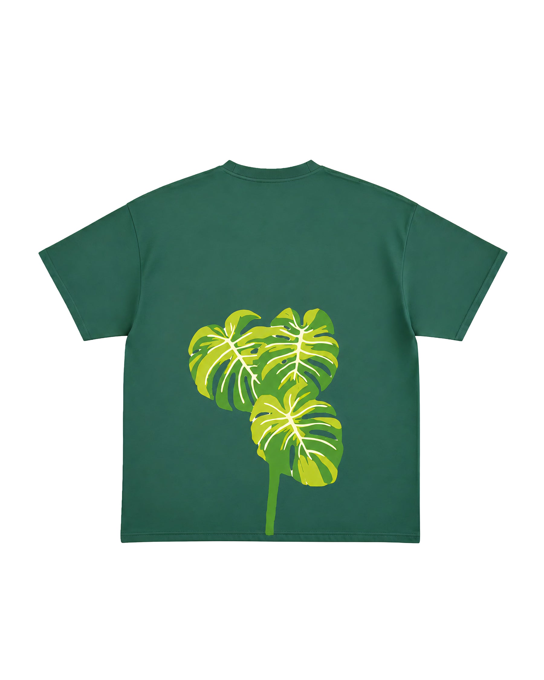 the green monstera