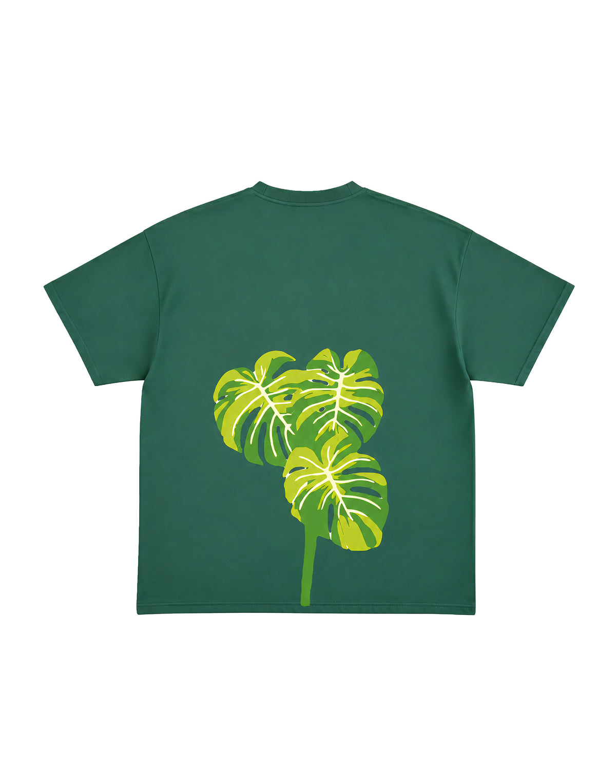 the green monstera